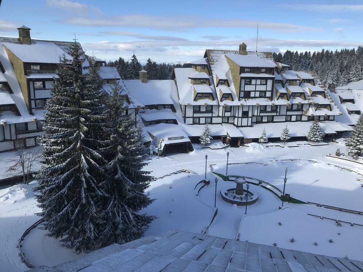 Mozaik Kopaonik