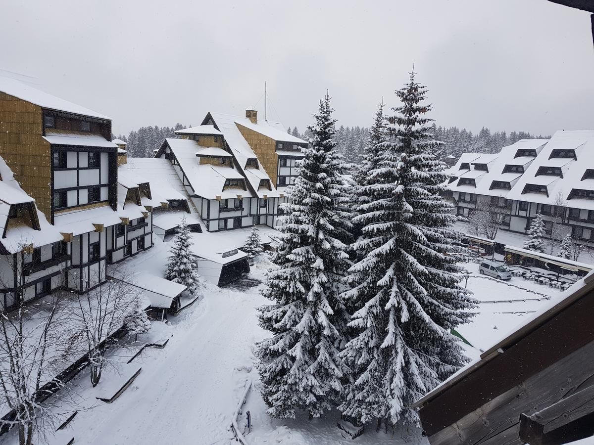 Mozaik Kopaonik