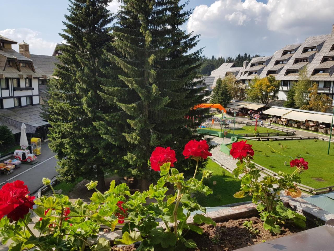 Mozaik Kopaonik